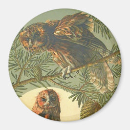 Art nouveau Anton Seder uil bruin groen geel Magneet