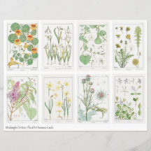 Art Nouveau Bloemen Collageblad Verneuil