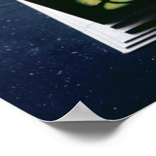 Art Nouveau bookends, Tiffany Studios, c.1894 Poster (Hoek)