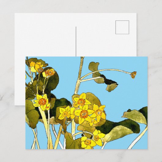Art nouveau boterbloem briefkaart (Voorkant / Achterkant)