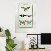  Art Nouveau Butterfly-juwelen door Morgan Poster (Thuiskantoor)