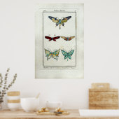  Art Nouveau Butterfly-juwelen door Morgan Poster (Keuken)