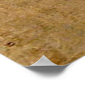 Art Nouveau Charles Mackintosh The Wassail Poster (Hoek)