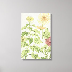  Art Nouveau, Chrysanthema's in een tuin Canvas Afdruk