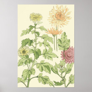 Art Nouveau, Chrysanthema's in een tuin Poster