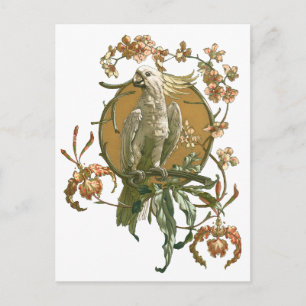  Art Nouveau, Cockato Bird, Orchid Flowers Briefkaart