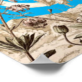 Art Nouveau Girl op Crescent Moon door A. Seder Poster (Hoek)