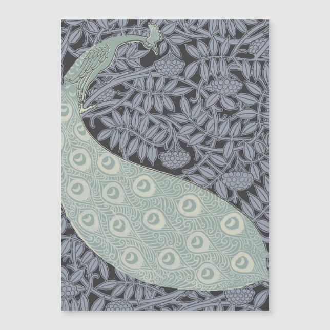 Art Nouveau Peacock Classic  Bird (Voorkant)