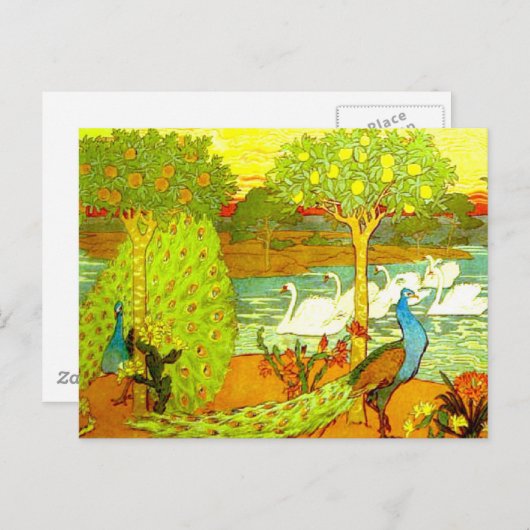 Art Nouveau Peacocks en Swans Briefkaart (Voorkant / Achterkant)