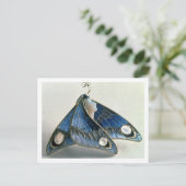 Art Nouveau pendant in de vorm van een vlinder, c. Briefkaart (Staand voorkant)