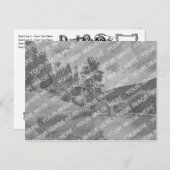 Art Nouveau Post Card back, Front Briefkaart (Voorkant / Achterkant)