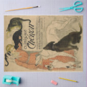 Art Nouveau Poster 21 Pets Lady-ontkoppeling Tissuepapier (Craft)