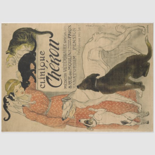 Art Nouveau Poster 21 Pets Lady-ontkoppeling Tissuepapier (Voorkant)