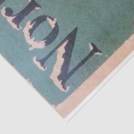 Art Nouveau Poster 24 Ski debetpapier Tissuepapier (Detail)