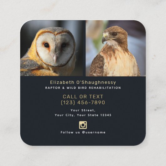 Art Nouveau Raptor Bird Rehabilitation Vierkante Visitekaartje (Achterkant)