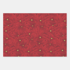 Art Nouveau Retro Rode Bloemen Kerstmis Poinsettia Inpakpapier Vel
