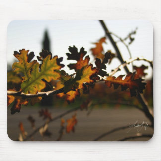 Art Nouveau Sapling Muismat