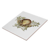 Art Nouveau Seashell Ornament Tegeltje (Zijkant)
