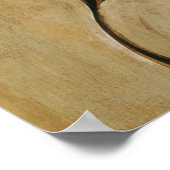 Art Nouveau "The Flapper" Frank Xavier Leyendecker Poster (Hoek)