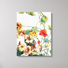 Art Nouveau tuin Nasturtium bloemen Canvas Afdruk
