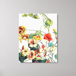 Art Nouveau tuin Nasturtium bloemen Canvas Afdruk