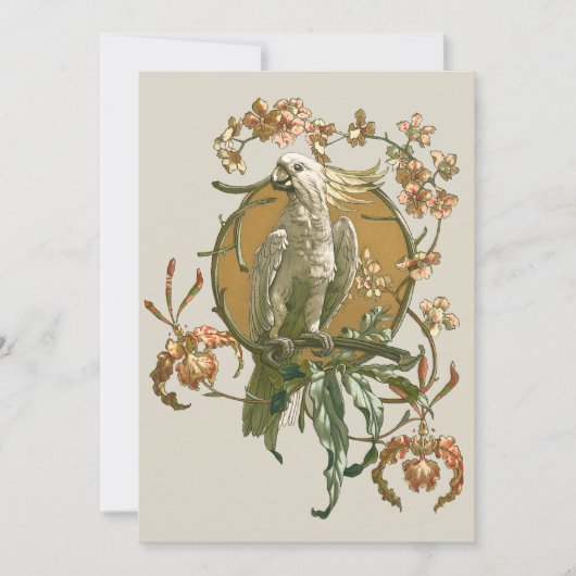 Art Nouveau vintage, kaketoe vogel, orchidee bloem (Voorkant)