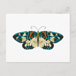 Art nouveau vlinder briefkaart