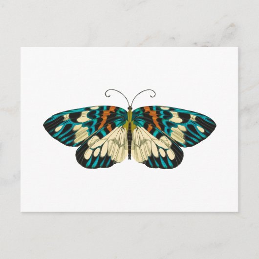 Art nouveau vlinder briefkaart (Voorkant)