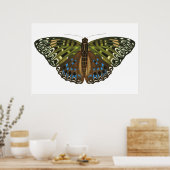  Art nouveau vlinder Poster (Keuken)