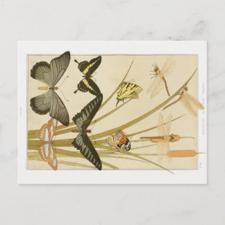 Art Nouveau Vlinders & Cattails Briefkaart