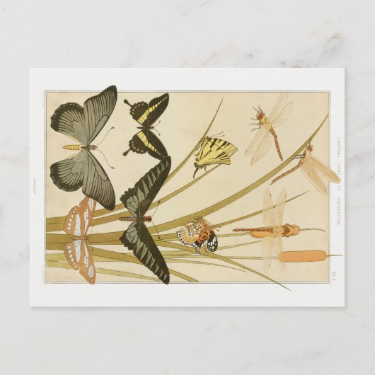  Art Nouveau Vlinders & Cattails Briefkaart (Voorkant)