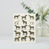  art Paardenrassen Grafiek gedrukte briefkaarten (Staand voorkant)