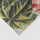 Art Poster 25 Afgiftepapier voor druiven Tissuepapier (Detail)