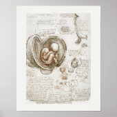 ART POSTER : LEONARDO DA VINCI : STUDIE 1510 - 151 (Voorkant)