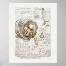 ART POSTER : LEONARDO DA VINCI : STUDIE 1510 - 151