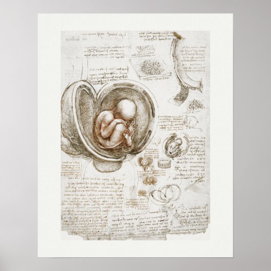 ART POSTER : LEONARDO DA VINCI : STUDIE 1510 - 151 (Voorkant)