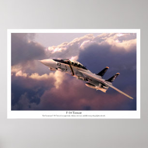 Art Poster voor de luchtvaart "F-14 Tomcat"
