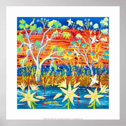 Art Print: Bathing Baby Red Gums, Banrock Station Poster (Voorkant)