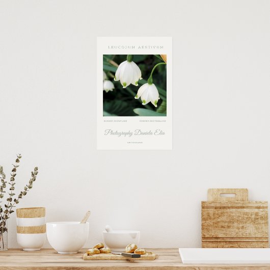 Art Print - „Summer Snowflake“ (Keuken)