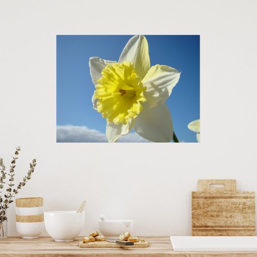ART PRINTS Geel Daffodil Flowers Canvas Artwork (Keuken)