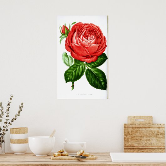 Art Red Rose Poster (Keuken)