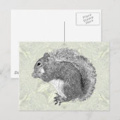 Art Squirrel Briefkaart (Voorkant / Achterkant)
