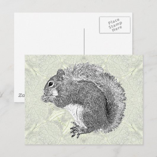 Art Squirrel Briefkaart (Voorkant / Achterkant)