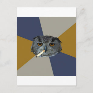 Art Student Owl Advice Animal Meme Briefkaart