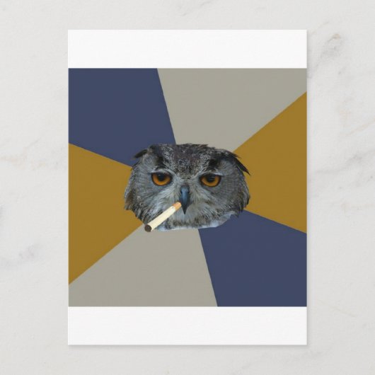 Art Student Owl Advice Animal Meme Briefkaart (Voorkant)