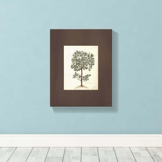  Art Tekening Botanische Olijfboom Canvas (Insitu (Houten vloer))