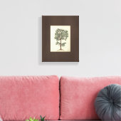  Art Tekening Botanische Olijfboom Canvas Afdruk (Insitu (Woonkamer))