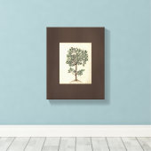 Art Tekening Botanische Olijfboom Canvas Afdruk (Insitu (Houten vloer))