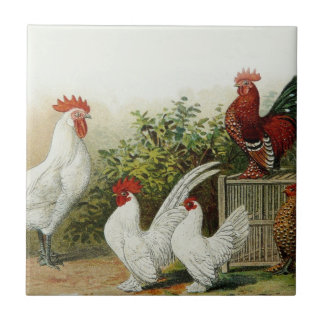 Art Tile Tegeltje