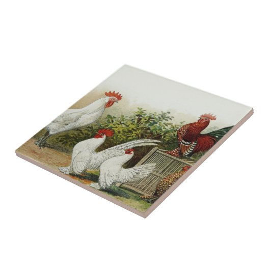 Art Tile Tegeltje (Zijkant)